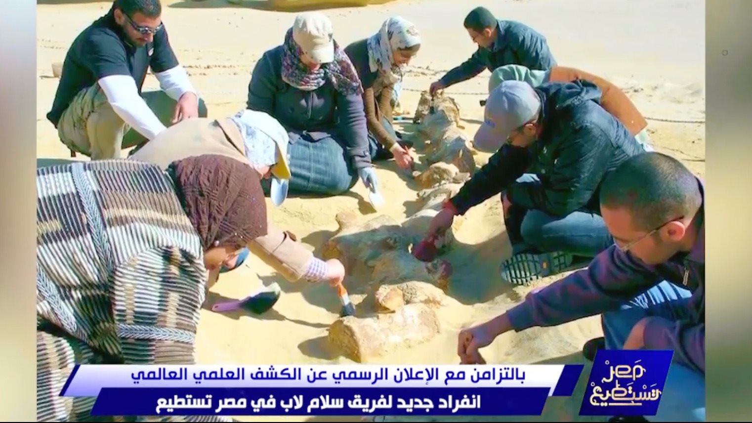 الاكتشاف الجديد