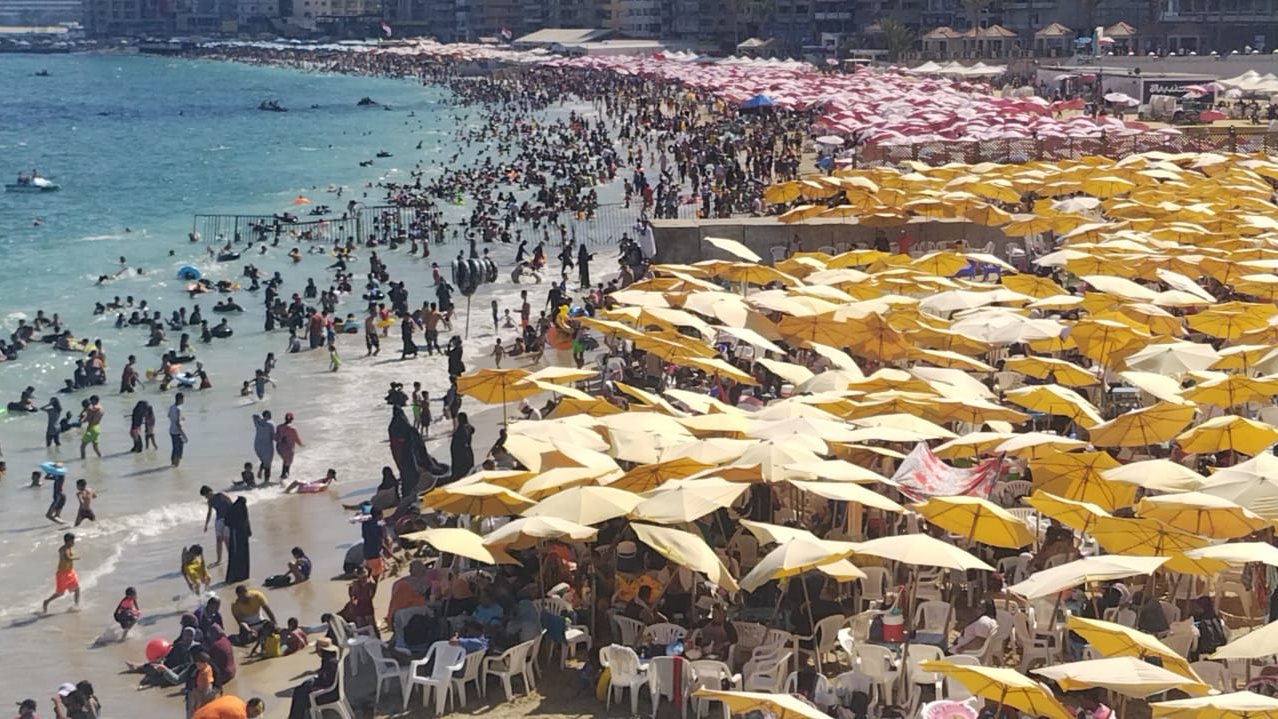 شواطئ الإسكندرية كاملة العدد