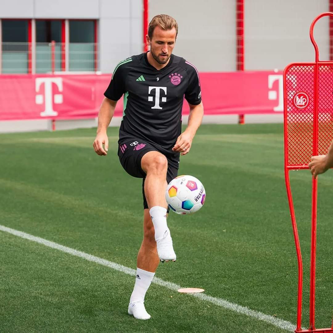 FB_IMG_1691848964536