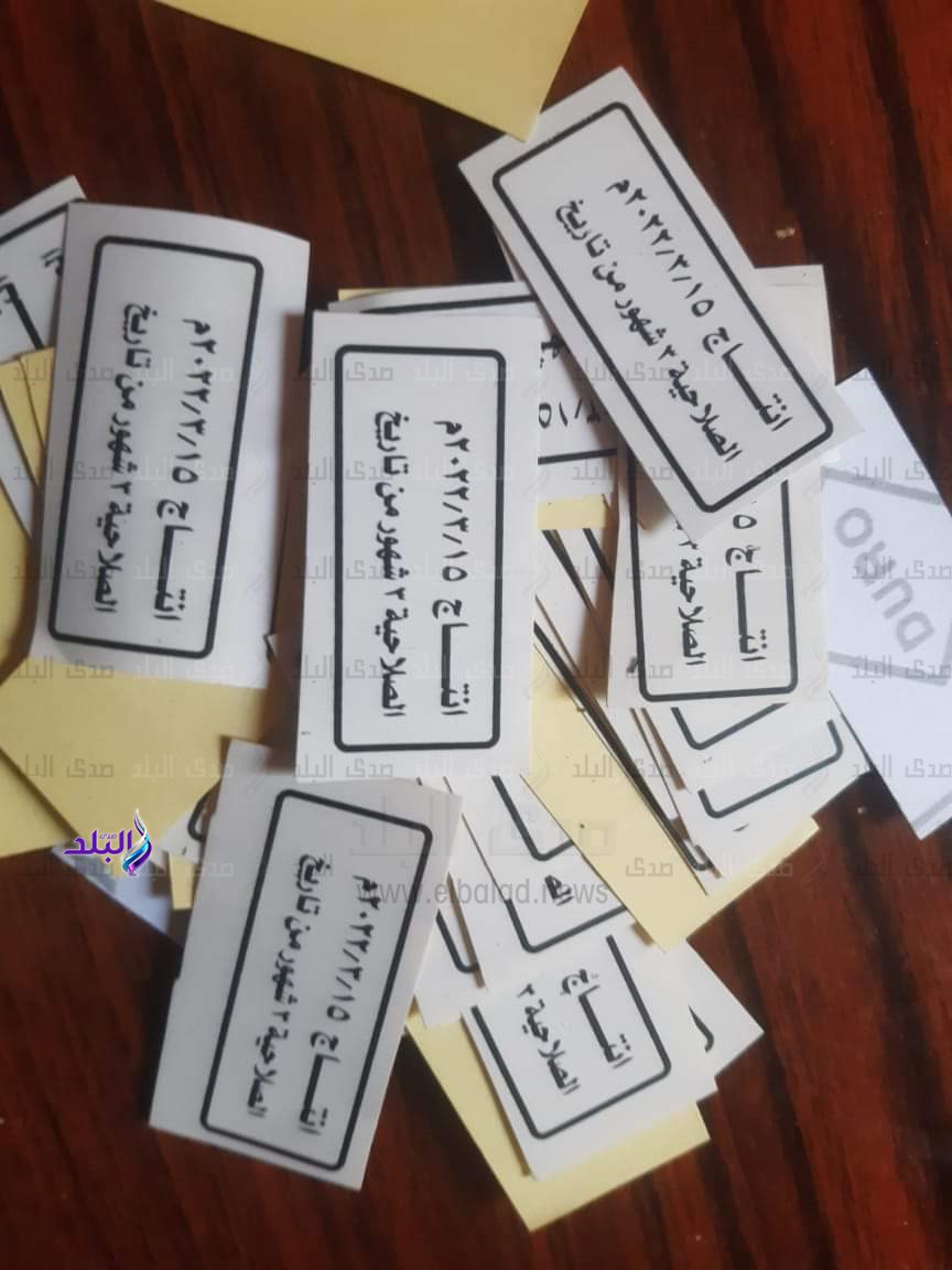 FB_IMG_1691960448574