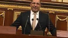أحمد سعد نويصر، عضو مجلس النواب