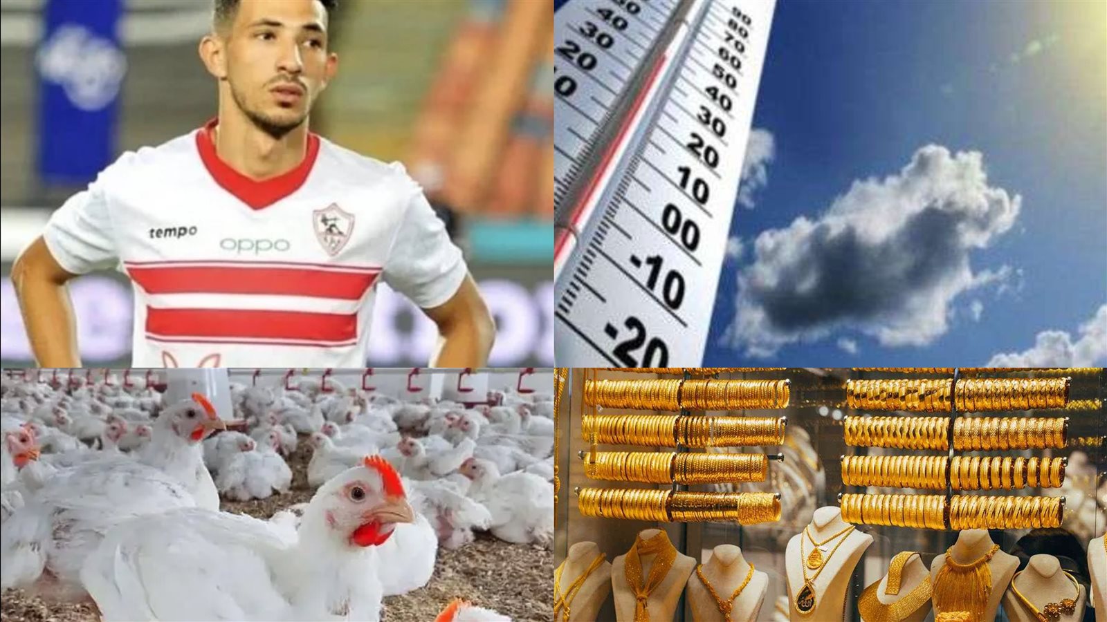 اخبار التوك شو 