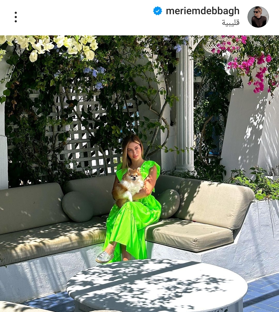 IMG_٢٠٢٣٠٨١٧_١٩١١٥٨