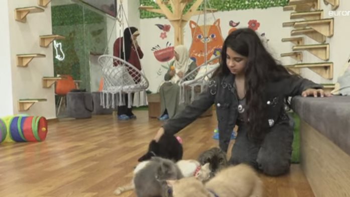 مقهى للقطط بغزة