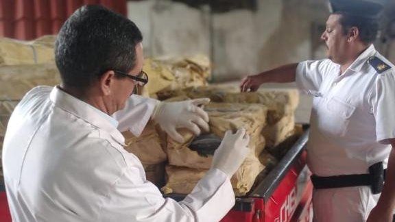 حملات رقابية بالغربية 