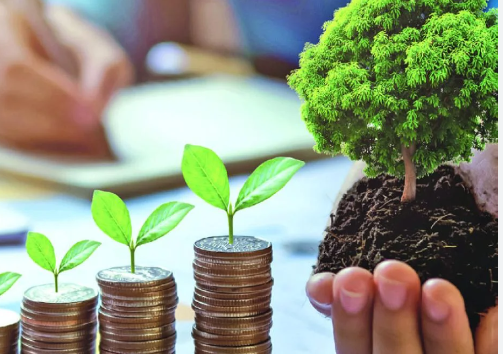 المشروعات الصغيرة ودورها في التنمية