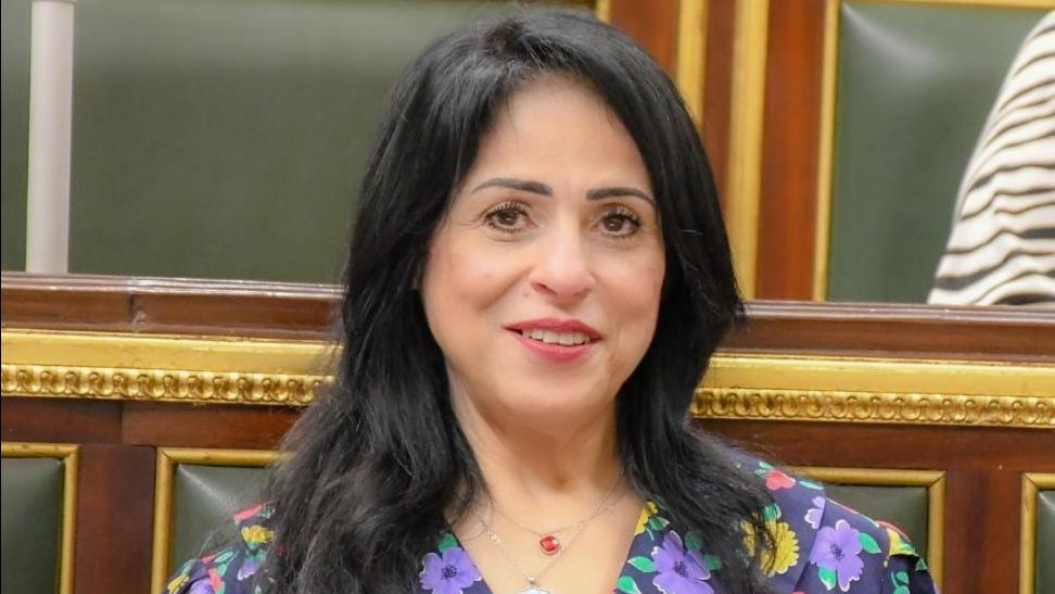  النائبة ميرال جلال الهريدي، عضو مجلس النواب