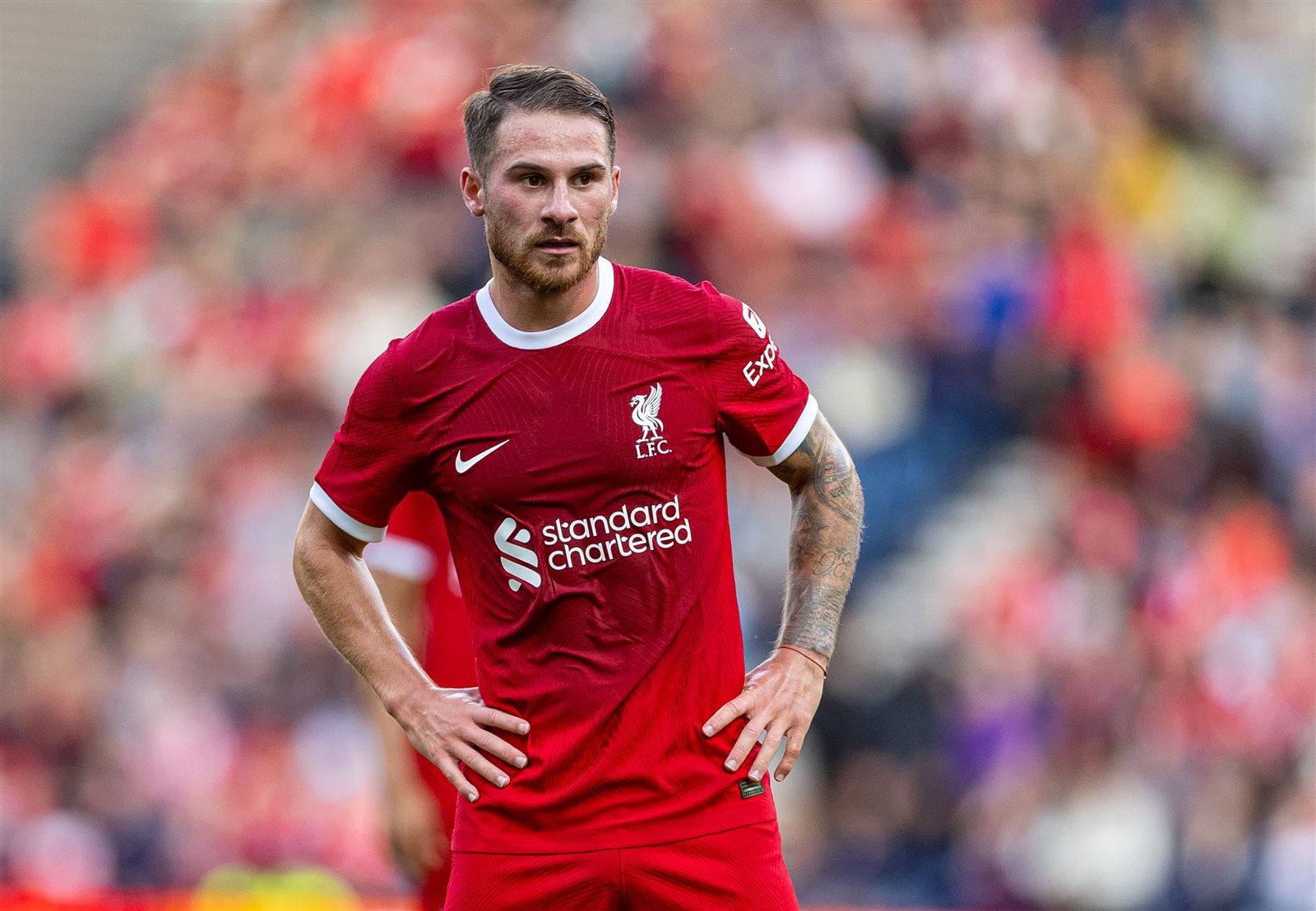 أليكسيس ماك أليستر