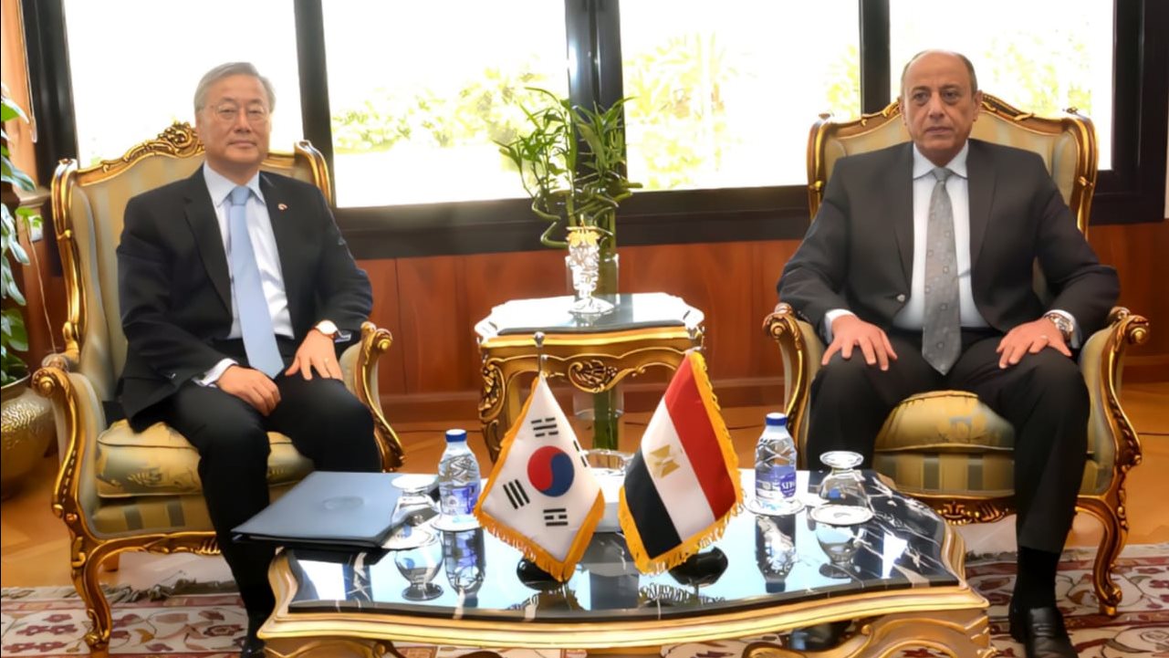 وزير الطيران المدني الفريق محمد عباس حلمي