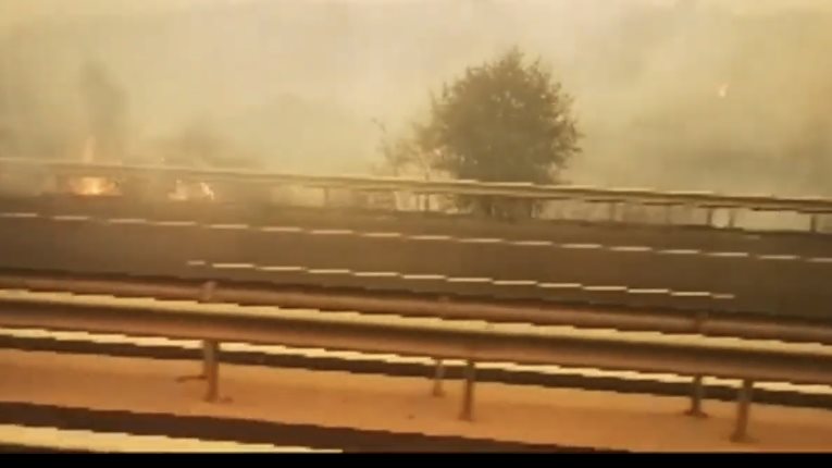 حرائق غابات