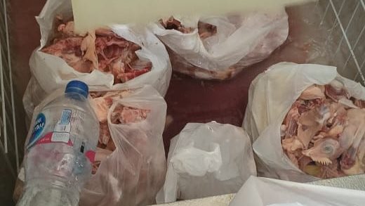 لحوم غير صالحة 