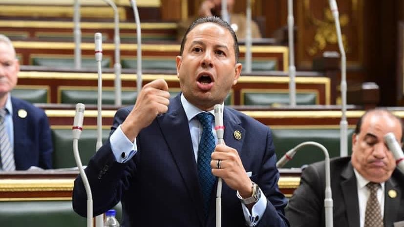  حسن عمار، عضو لجنة الشئون الاقتصادية بمجلس النواب