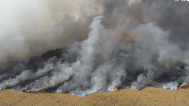 حرائق الغابات 