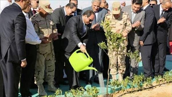 الرئيس السيسي