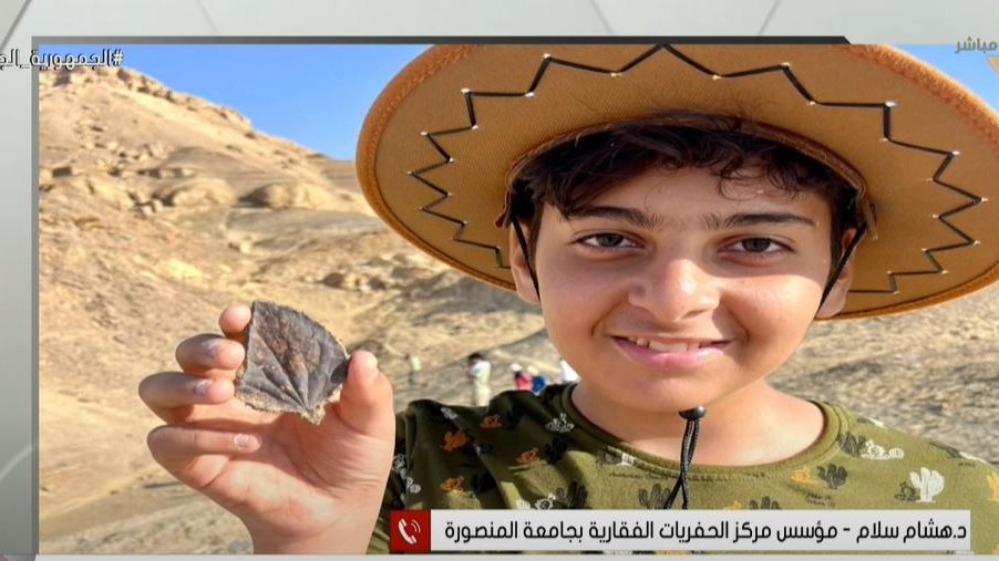 الاكتشاف