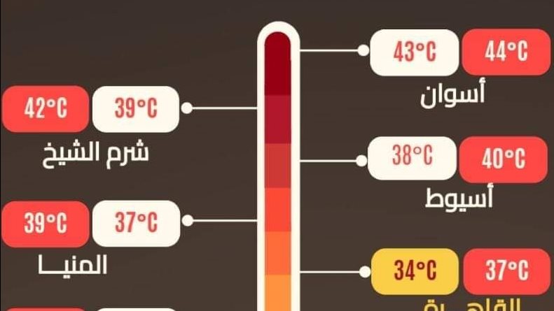 صورة من الحدث 
