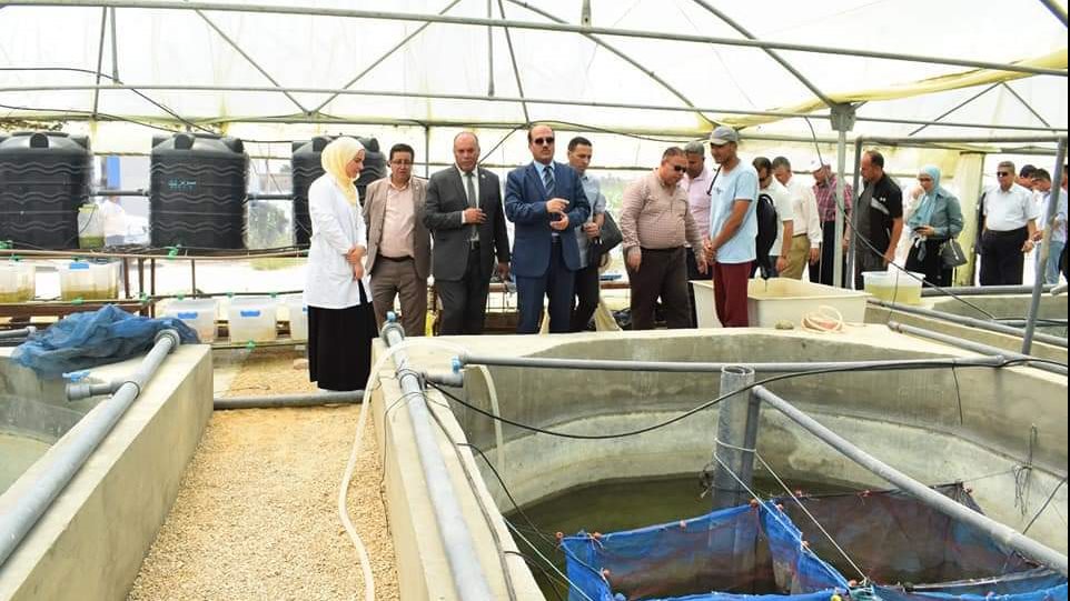 الدمرداش يتفقد الأحواض السمكية بجامعة العريش