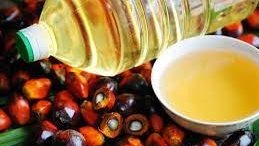 زيت النخيل