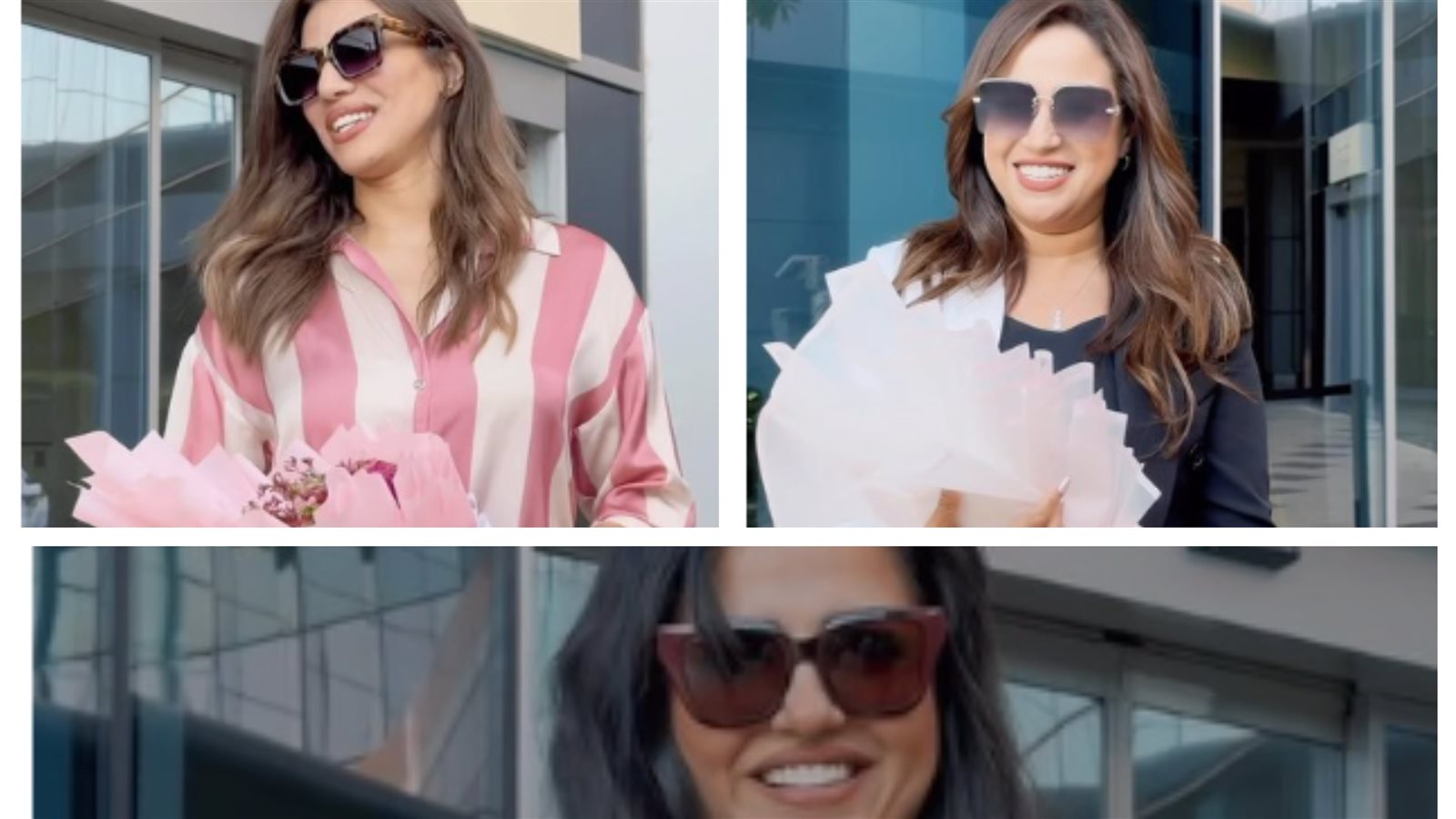 نجمات حفل محمد الحلو