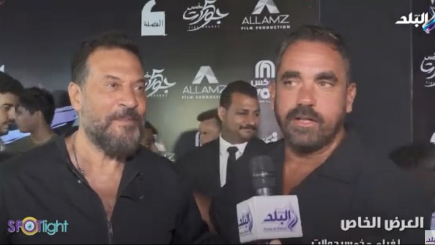 الفنان أمير كرارة