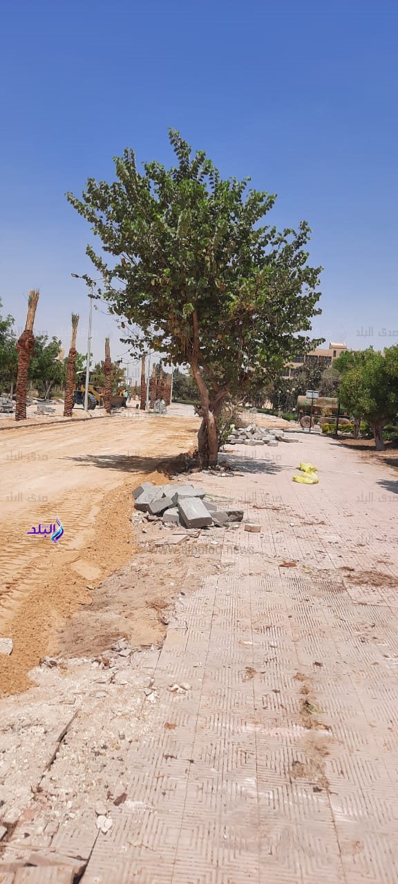 تحويل جامعة حلوان إلى 