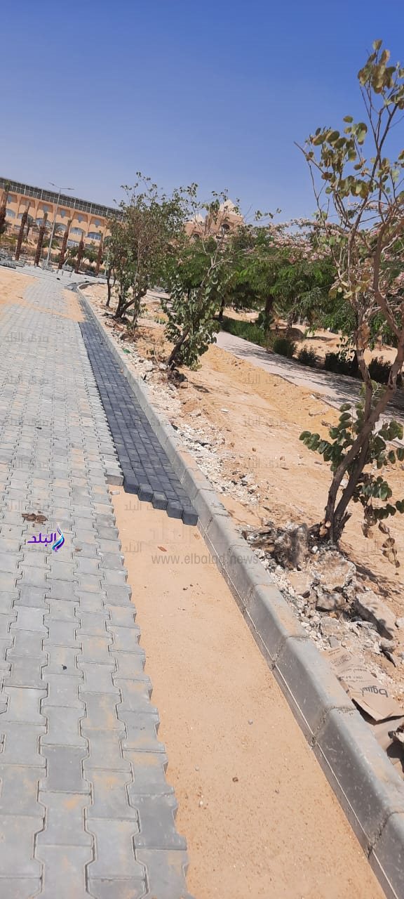 تحويل جامعة حلوان إلى 