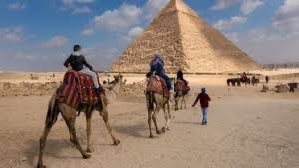 السياحة 