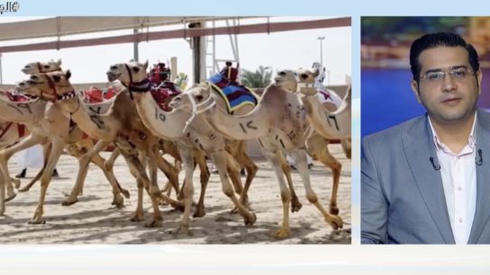 سباقات الهجن