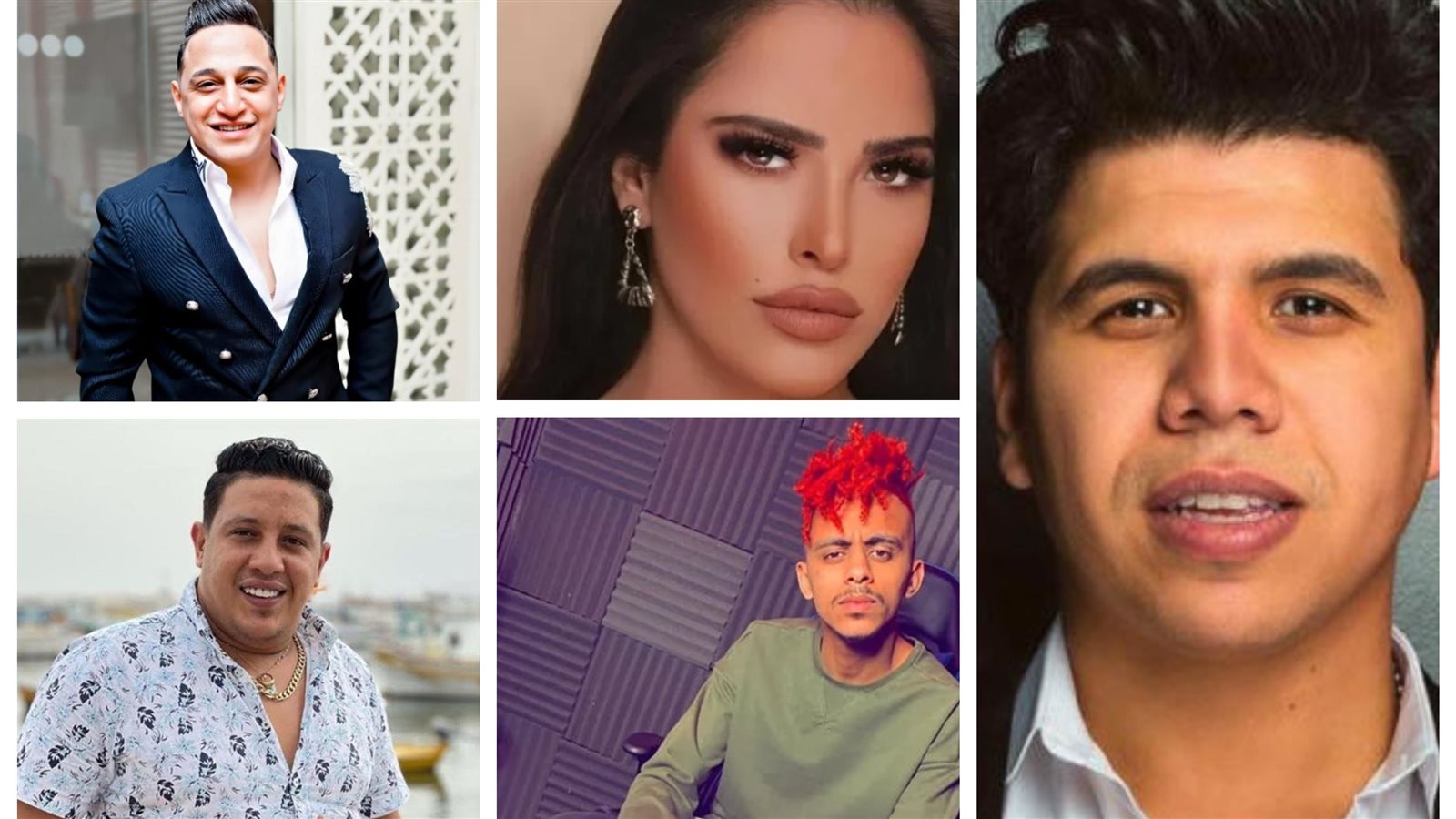 ايقاف مطربين لضبط سوق الغناء 