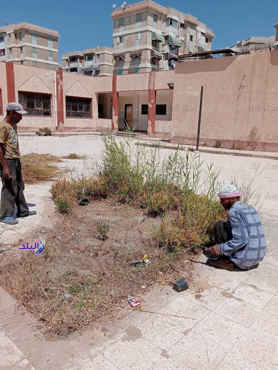 FB_IMG_1694075820278