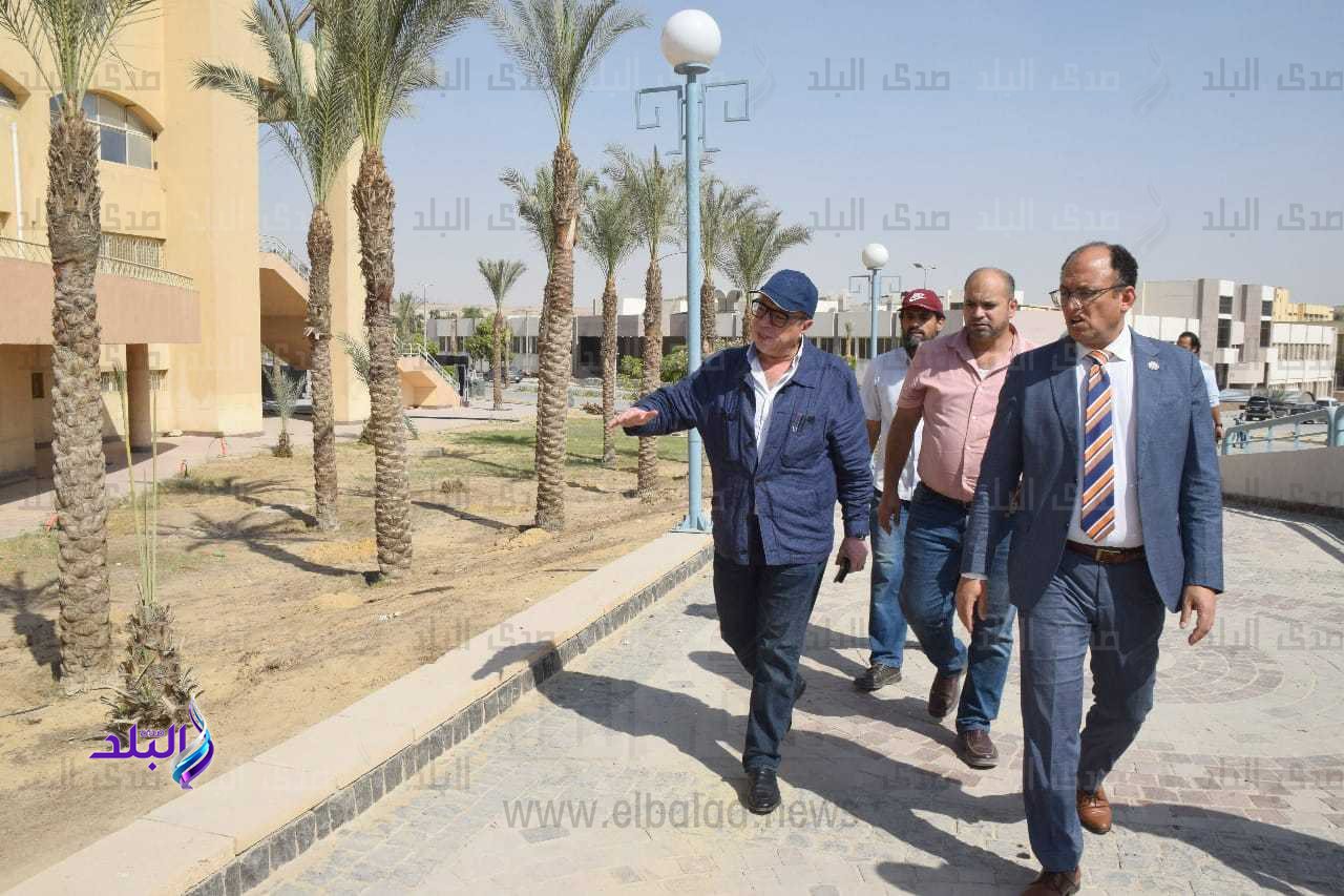 جامعة حلوان