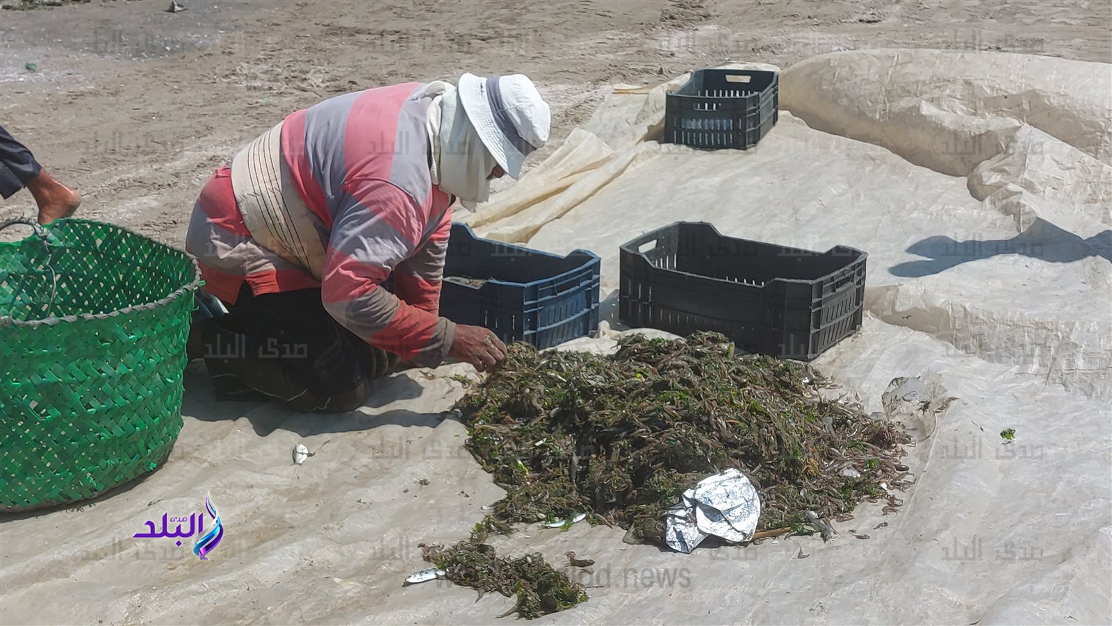 ٢٠٢٣٠٩٠٥_١٢١٠٠٦