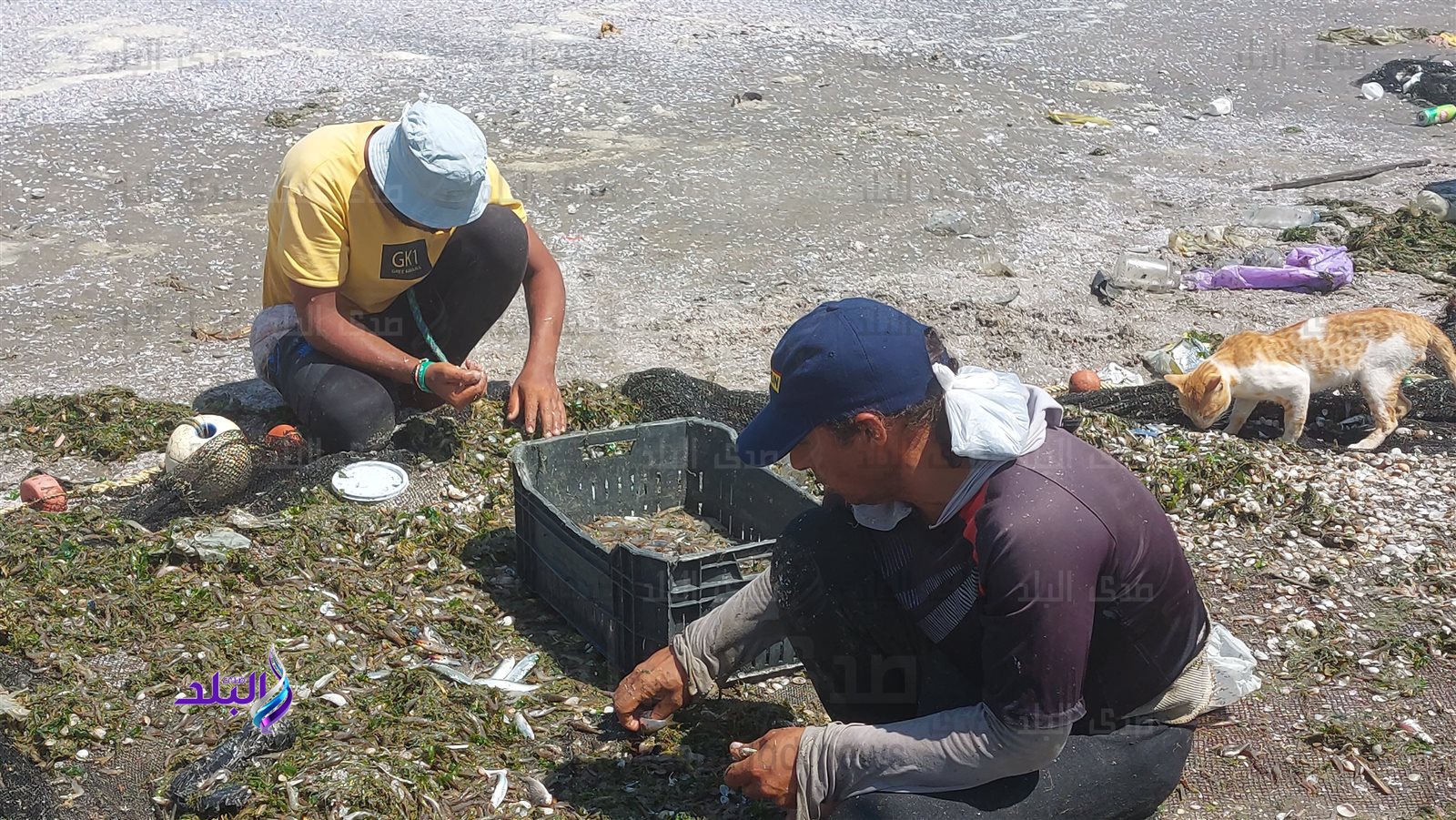 ٢٠٢٣٠٩٠٥_١٢٠٩٣٣