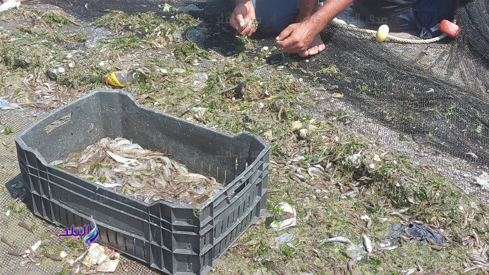 ٢٠٢٣٠٩٠٥_١٢٠٥٣٥