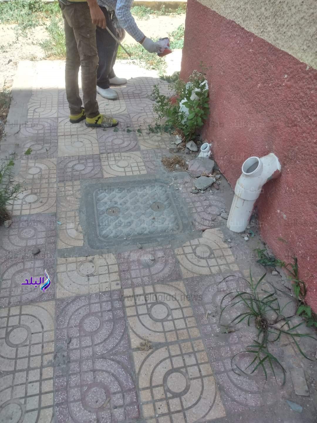 FB_IMG_1694258087742