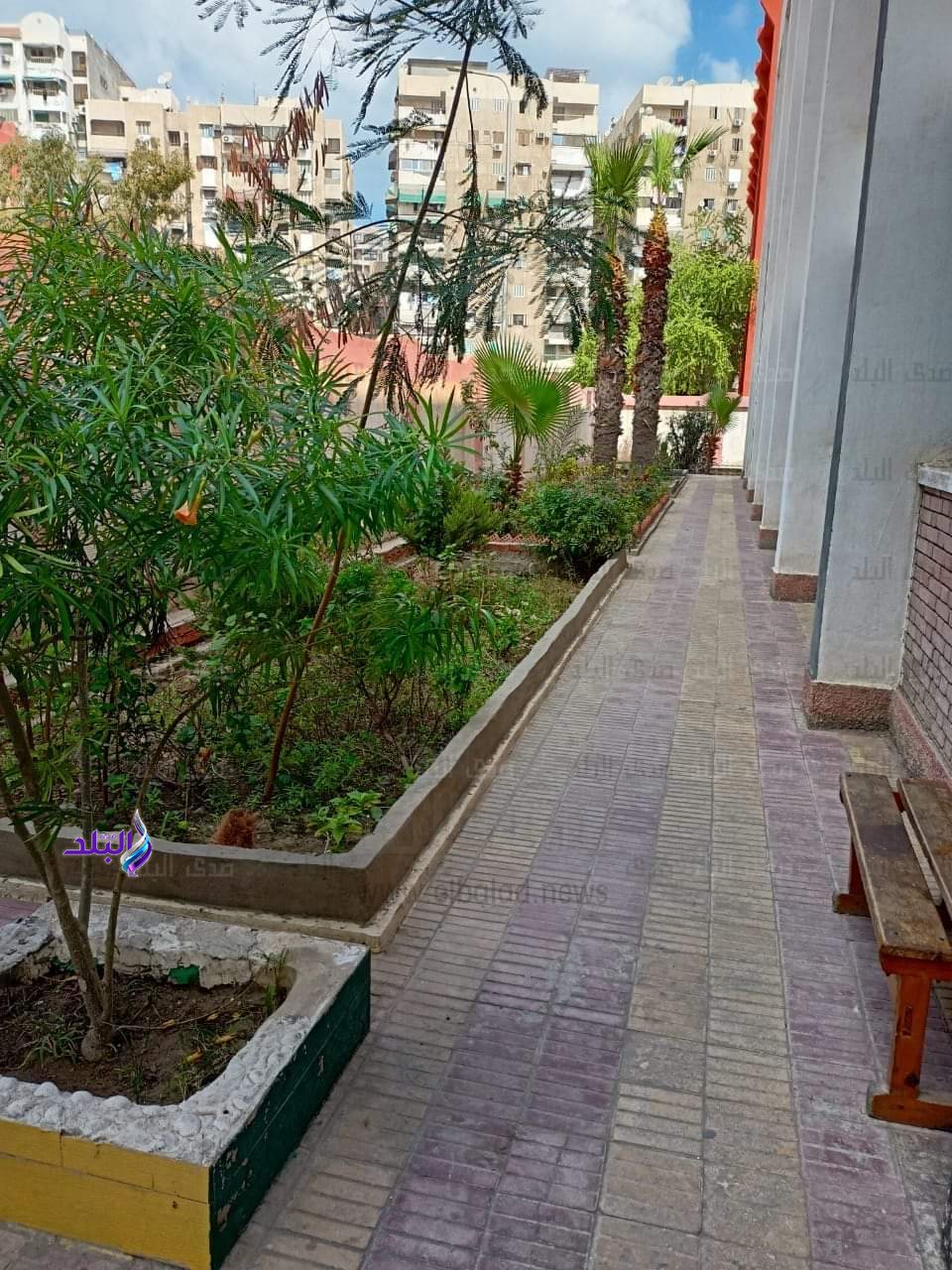 FB_IMG_1694342872059