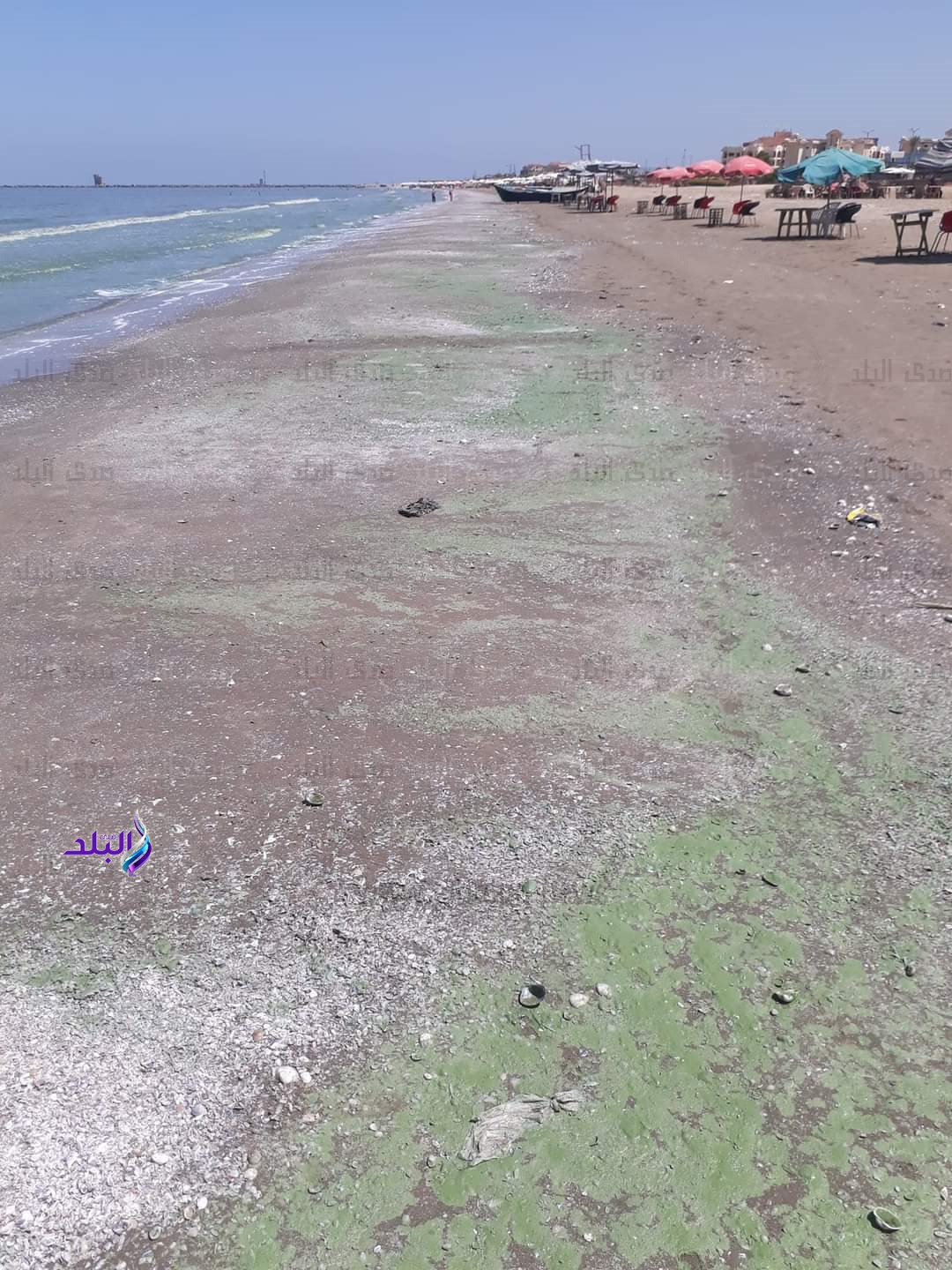 FB_IMG_1694420408718