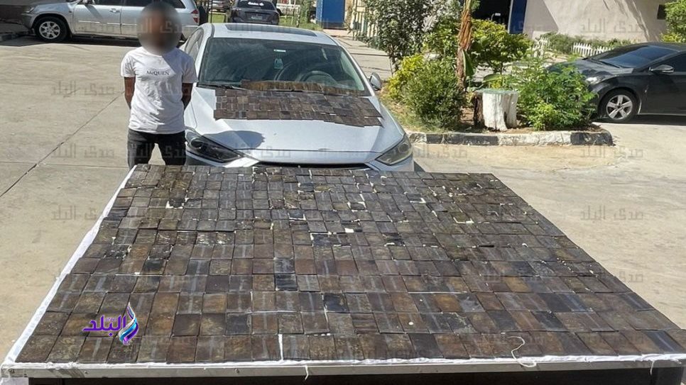 جانب من المضبوطات