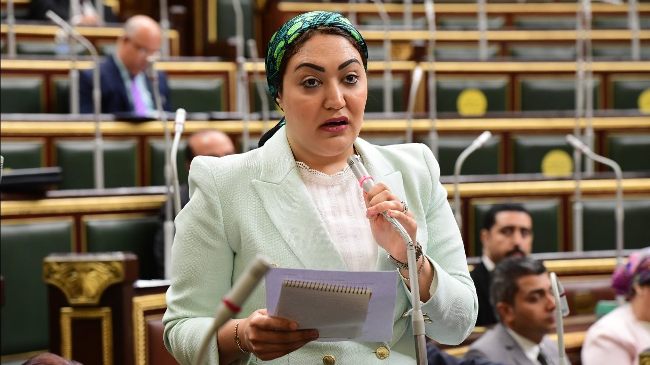 النائبة أسماء الجمال عضو لجنة العلاقات الخارجية بمجلس النواب
