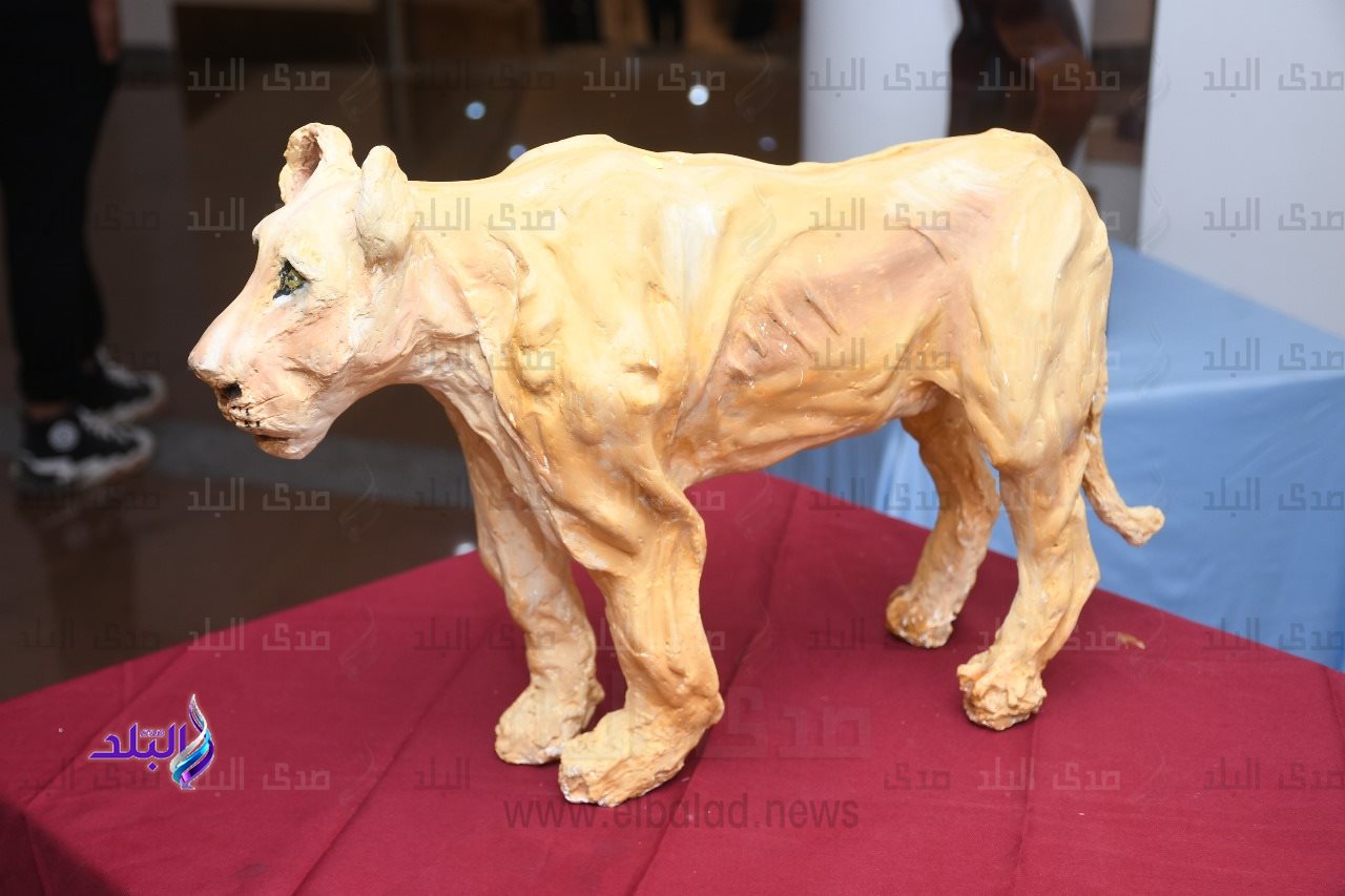 ميداليات ذهبية وبرونزية لطلاب جامعة عين شمس1