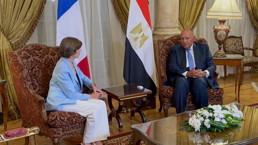 شكري ونظيرته الفرنسية 