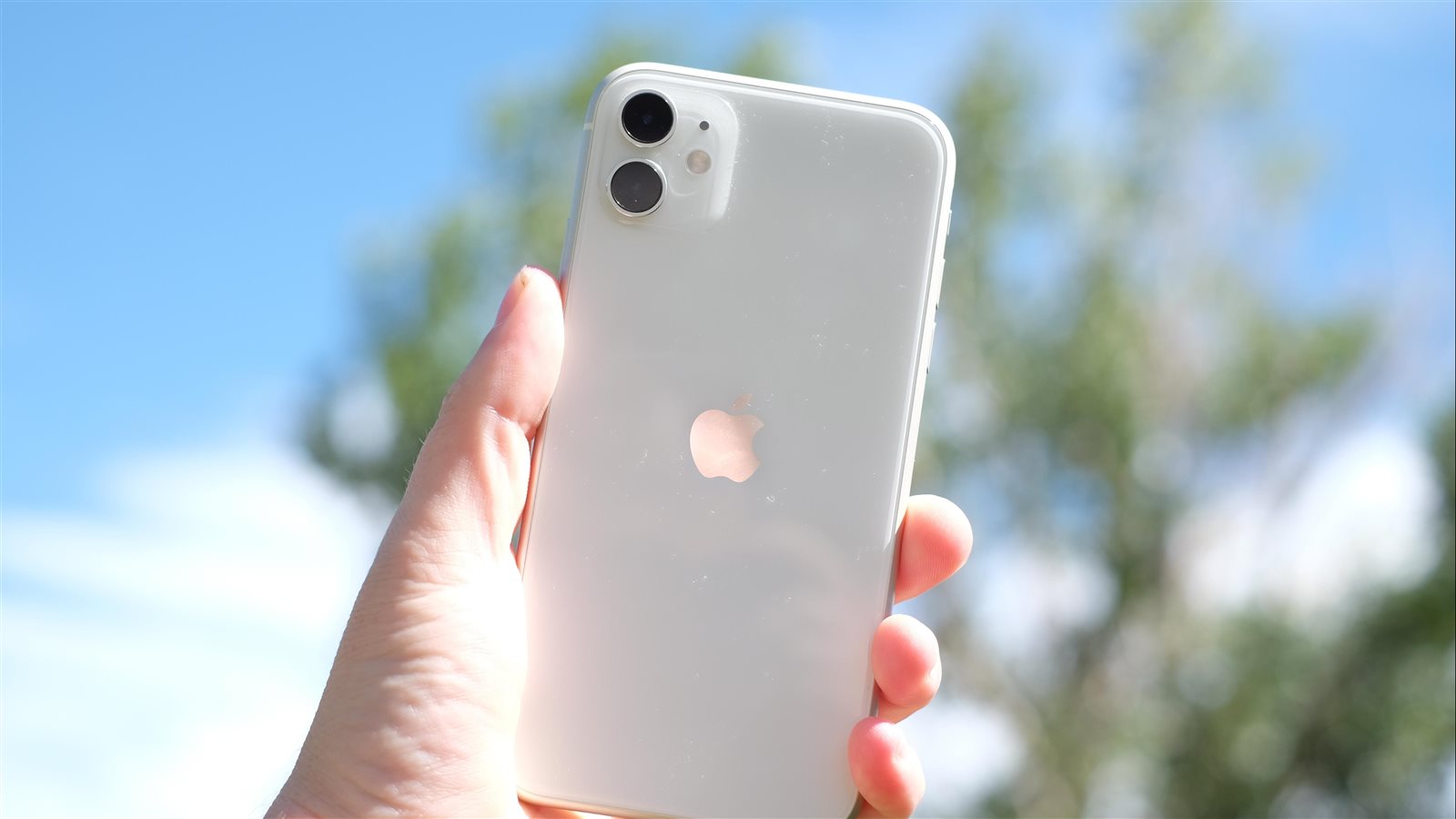 iPhone 11