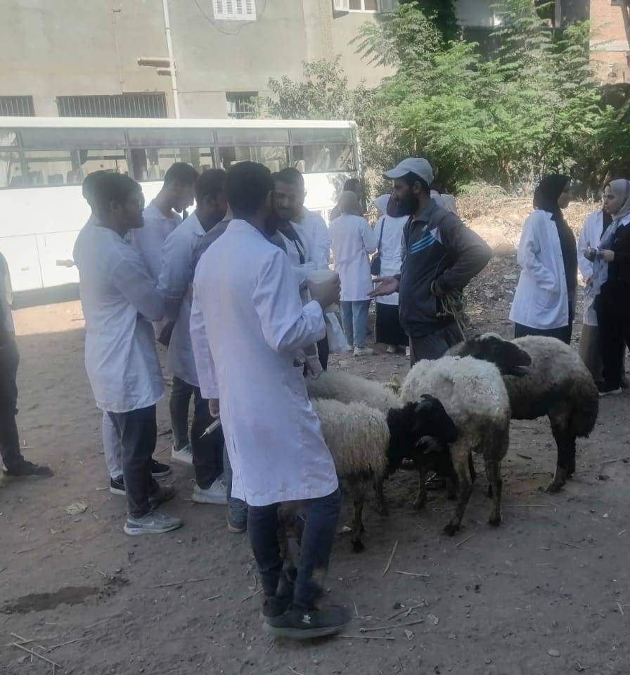 التحصين ضد الحمي القلاعية 