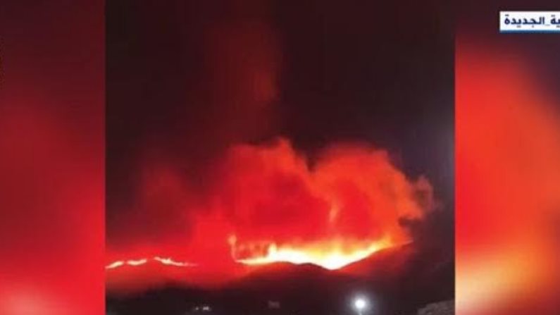 حرائق الغابات 