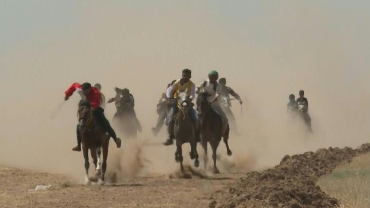 أرشيفية