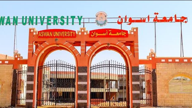 جامعة أسوان 