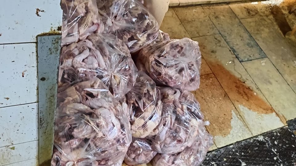 لحوم غير صالحة 