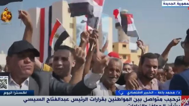 محمد باغة خبير اقتصادي 