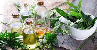 المنيسي: الأعشاب الطبية يمكن أن تتسبب في فشل الوظائف العامة للكبد