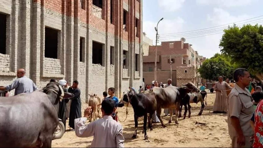 قافلة بيطرية بالمنيا 